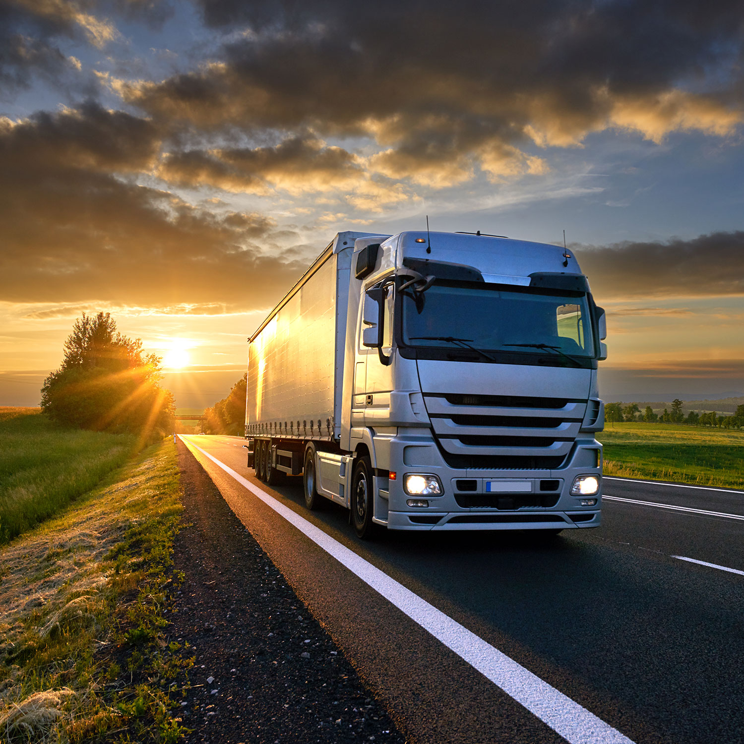 FidEx Project Cargo